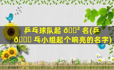 乒乓球队起 🌲 名(乒 🐞 乓小组起个响亮的名字)